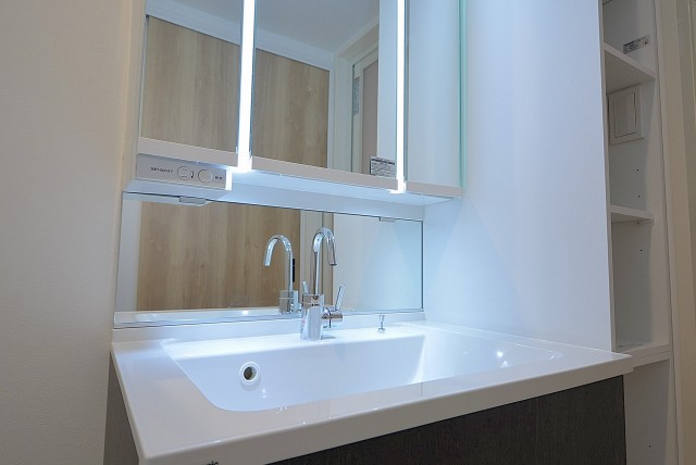 自由が丘ハイタウン 　洗面