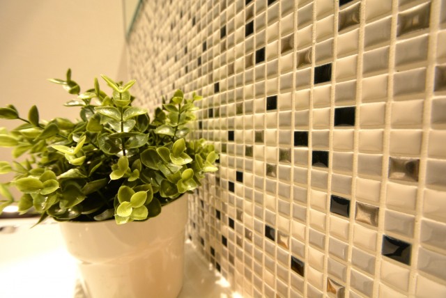 代々木ハビテーション 洗面室