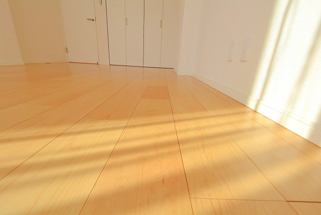 南青山ユニハイツ 洋室２