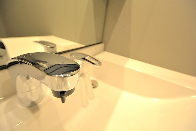 麻布東町マンション 洗面