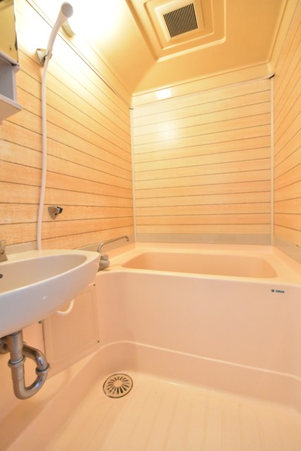 ライオンズマンション飯田橋 洗面室