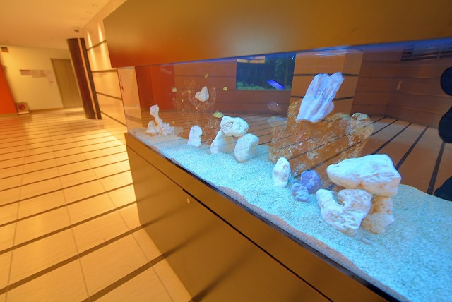 フィールＡ渋谷 エントランス