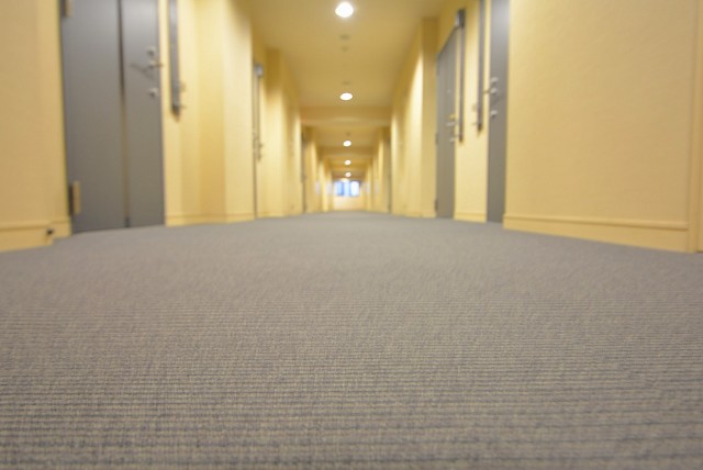 フィールＡ渋谷　5Ｆ 内廊下