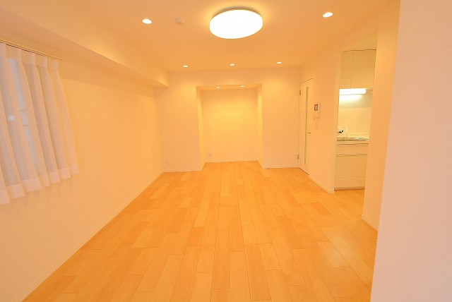 南青山ユニハイツ LD