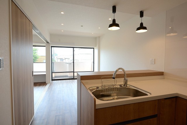 自由が丘ハイタウン 　LD