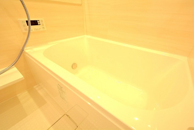 南青山ユニハイツ 風呂