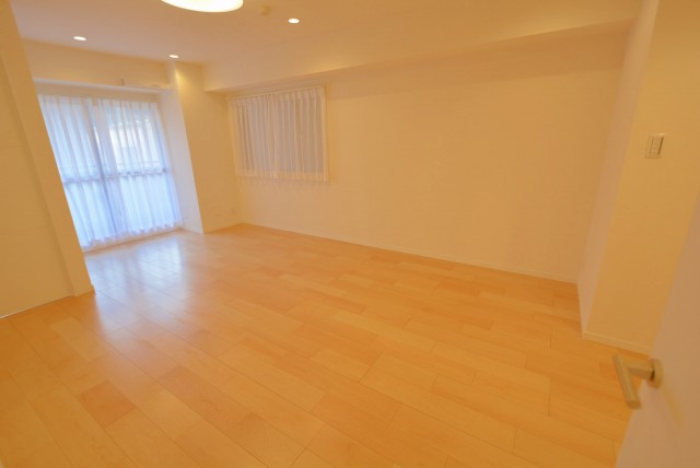 南青山ユニハイツ LD