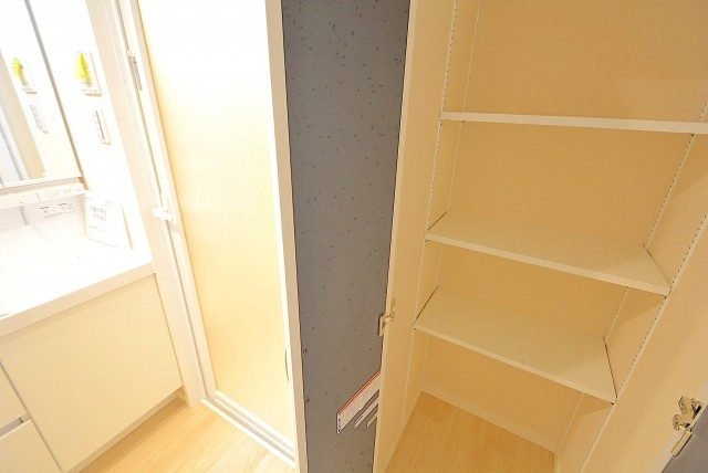 南青山ユニハイツ 洗面