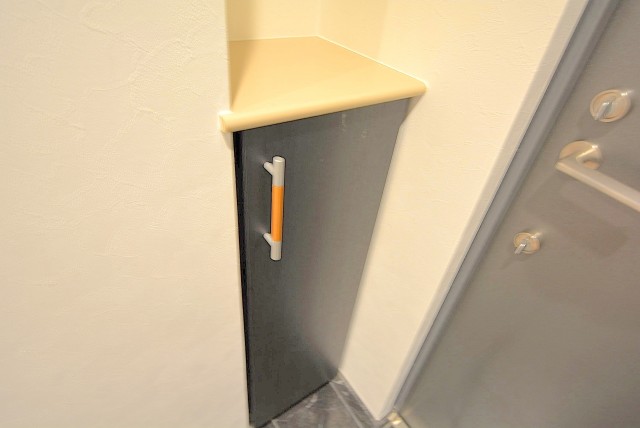 フィールＡ渋谷　5Ｆ 玄関