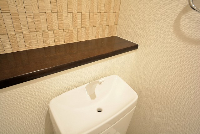 GSハイム都立大 トイレ