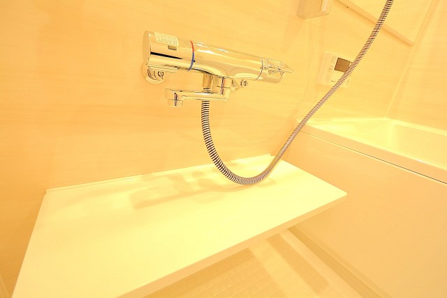 南青山ユニハイツ 風呂