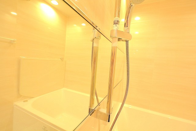 南青山ユニハイツ 風呂