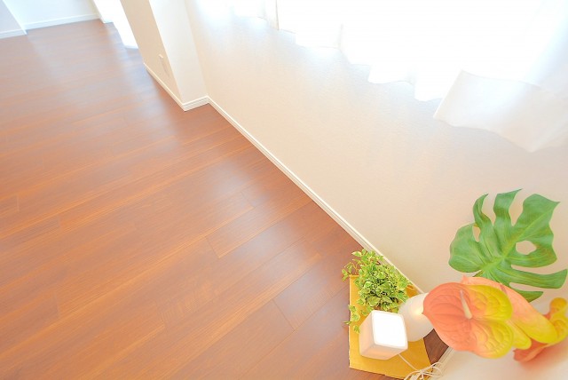 パイロットハウス北新宿 LD