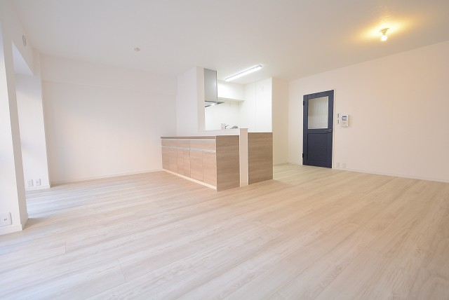 西新宿ハウス LD