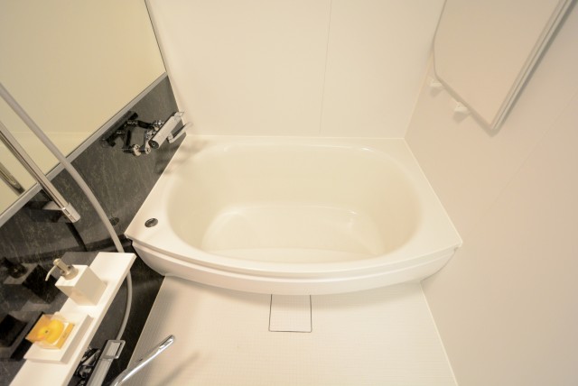 ライオンズマンショングリーン白金 バス