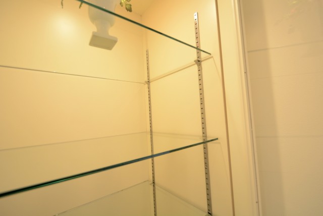 ライオンズマンショングリーン白金 LD