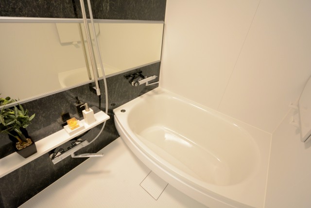 ライオンズマンショングリーン白金 バス