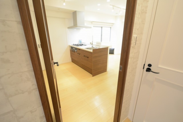 ライオンズマンショングリーン白金 LD