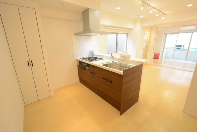 ライオンズマンショングリーン白金 キッチン