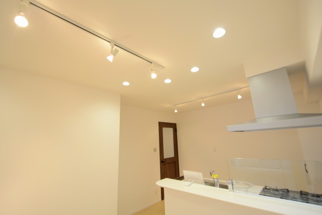 ライオンズマンショングリーン白金 LD