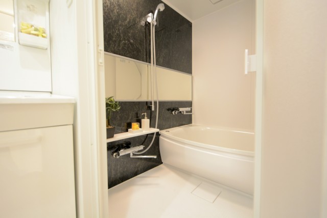 ライオンズマンショングリーン白金 バス