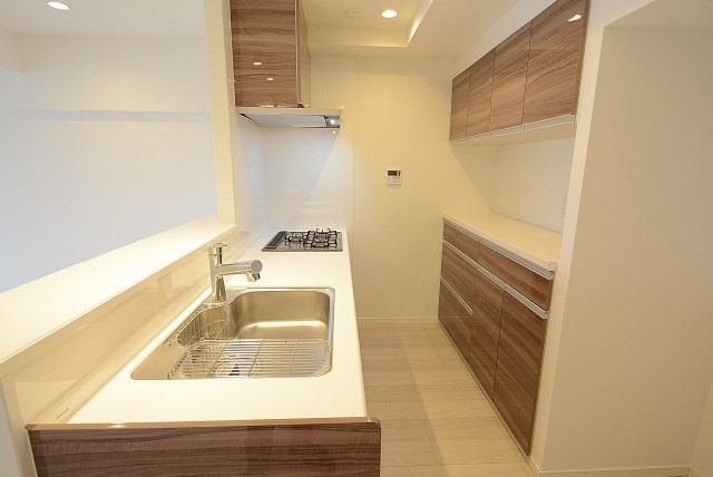 ライオンズマンション上野毛　キッチン