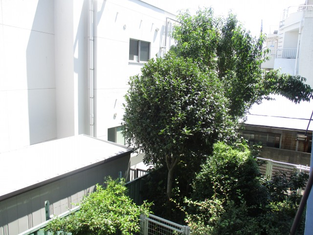 玉川台スカイマンション　バルコニー