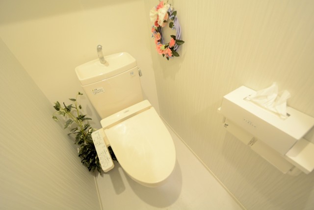 ライオンズマンショングリーン白金 トイレ