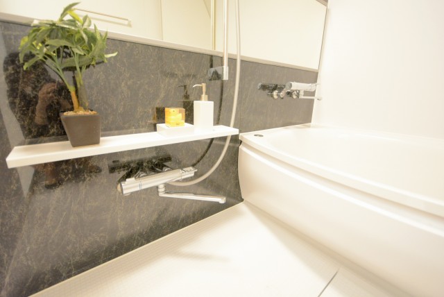 ライオンズマンショングリーン白金 バス