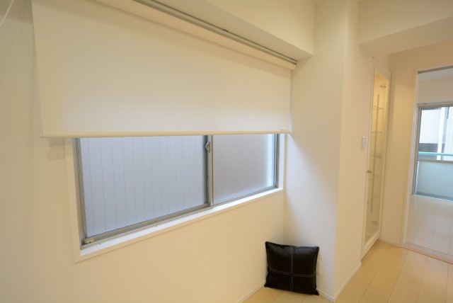 ライオンズマンショングリーン白金 LD