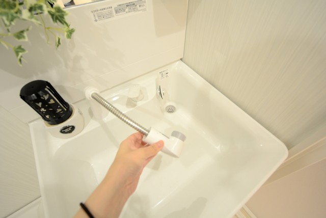 ライオンズマンショングリーン白金 洗面