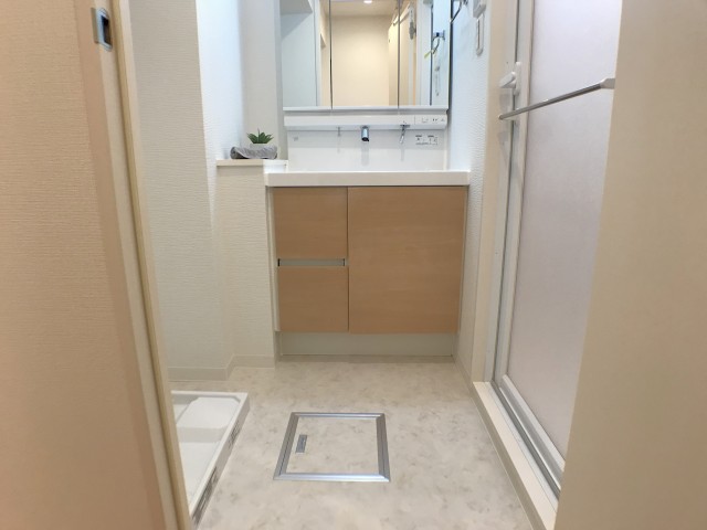 ライオンズマンション中野弥生町 洗面