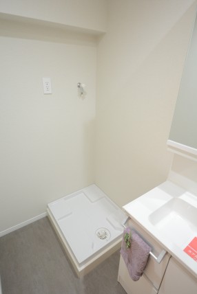 朝日目白台マンション 洗面室