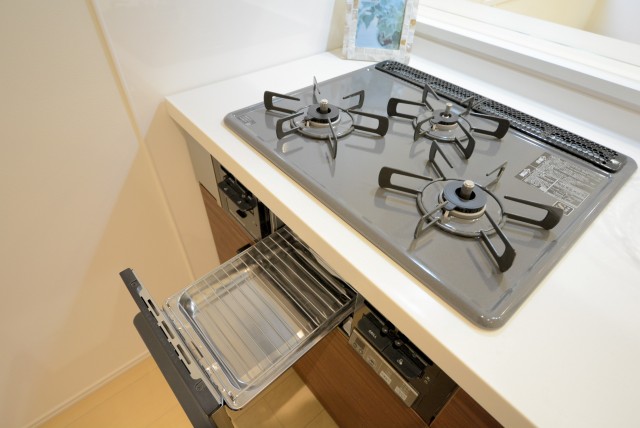 ライオンズマンショングリーン白金 キッチン