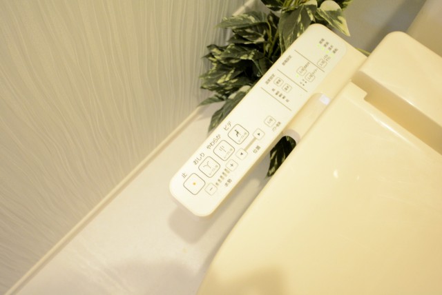 ライオンズマンショングリーン白金 トイレ