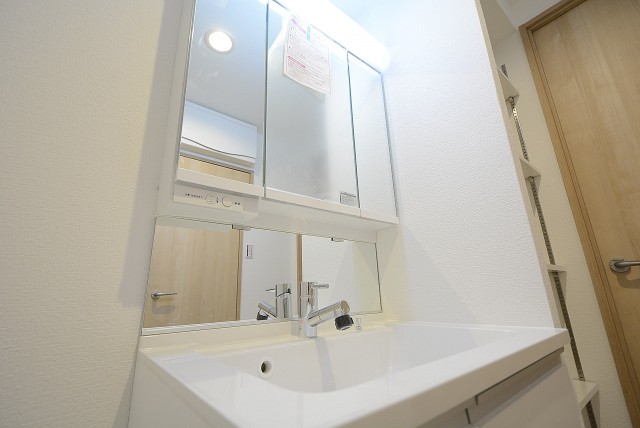 メガロン大井町 洗面