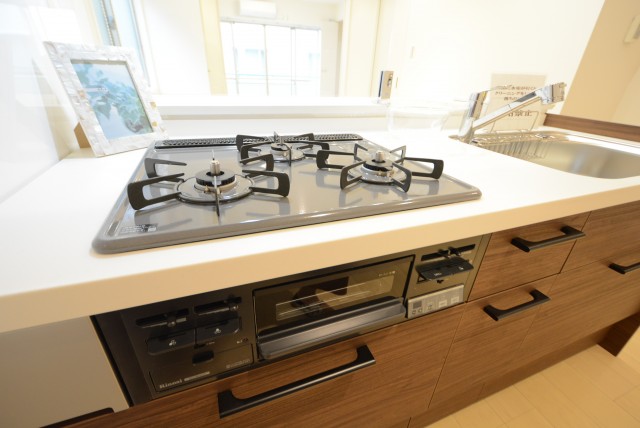 ライオンズマンショングリーン白金 キッチン