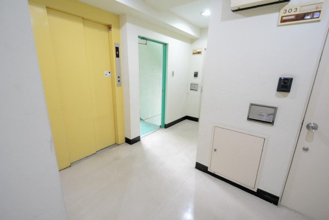 ライオンズマンショングリーン白金 玄関