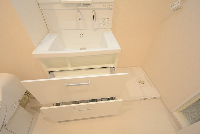 プチモンド目白 洗面