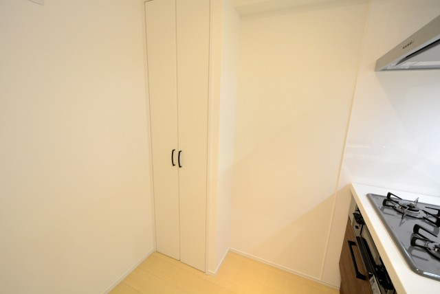 ライオンズマンショングリーン白金 キッチン