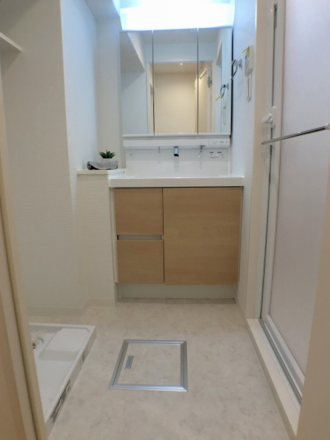 ライオンズマンション中野弥生町 洗面