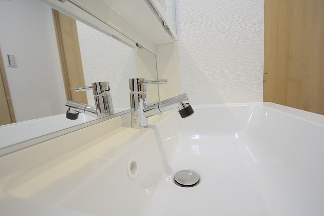 メガロン大井町 洗面