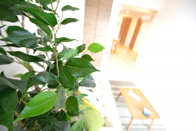 ウエスト経堂マンション LD