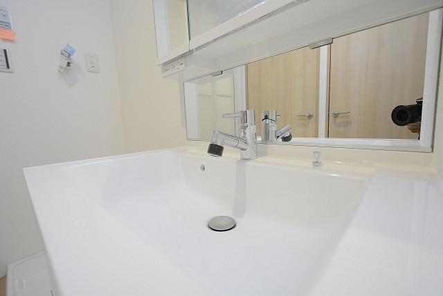 メガロン大井町 洗面