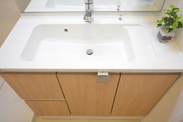 第２桜新町ヒミコマンション 洗面室