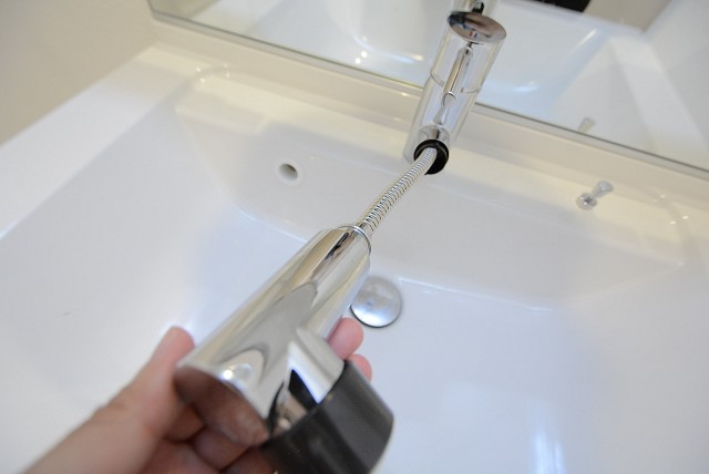 メガロン大井町 洗面