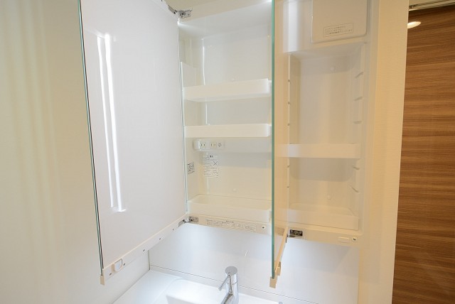 ライオンズマンション上野毛 (63)洗面