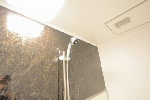 ライオンズマンショングリーン白金 バス