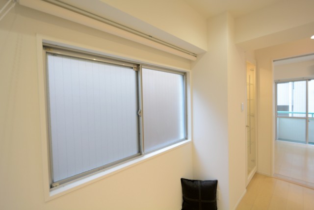 ライオンズマンショングリーン白金 LD