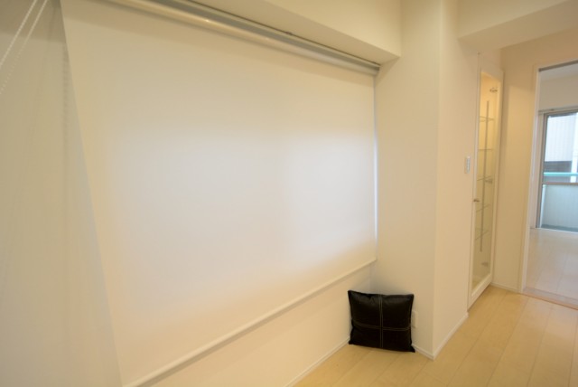 ライオンズマンショングリーン白金 LD